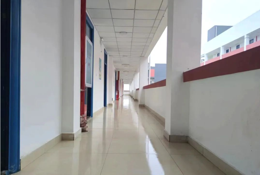 “五美”入室，滿樓飄香