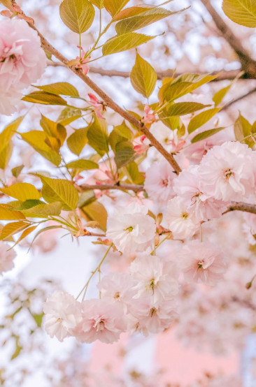 這一陣春風，讓工職院學子為之心動